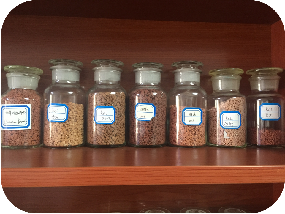 fanwei3.jpg fanwei3.jpg